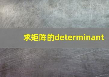 求矩阵的determinant