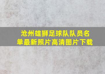 沧州雄狮足球队队员名单最新照片高清图片下载