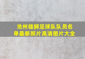 沧州雄狮足球队队员名单最新照片高清图片大全