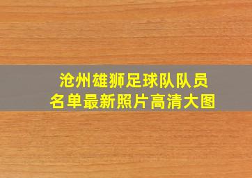 沧州雄狮足球队队员名单最新照片高清大图