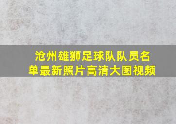 沧州雄狮足球队队员名单最新照片高清大图视频