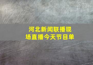 河北新闻联播现场直播今天节目单