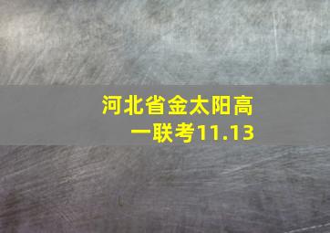 河北省金太阳高一联考11.13