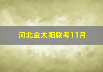 河北金太阳联考11月