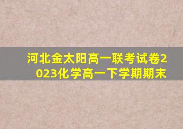 河北金太阳高一联考试卷2023化学高一下学期期末