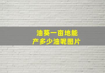 油葵一亩地能产多少油呢图片