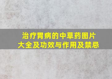 治疗胃病的中草药图片大全及功效与作用及禁忌