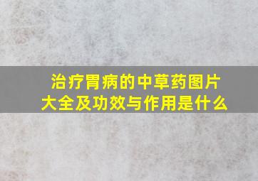 治疗胃病的中草药图片大全及功效与作用是什么