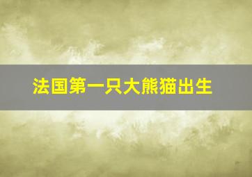 法国第一只大熊猫出生