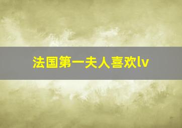 法国第一夫人喜欢lv