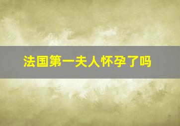 法国第一夫人怀孕了吗