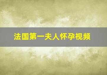 法国第一夫人怀孕视频