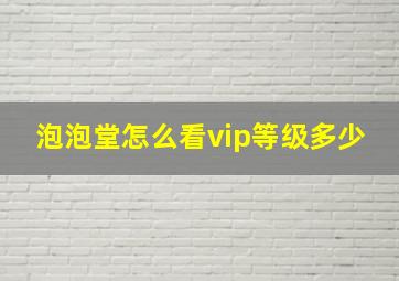 泡泡堂怎么看vip等级多少