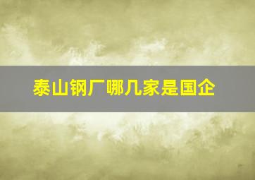 泰山钢厂哪几家是国企