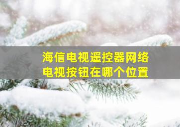 海信电视遥控器网络电视按钮在哪个位置