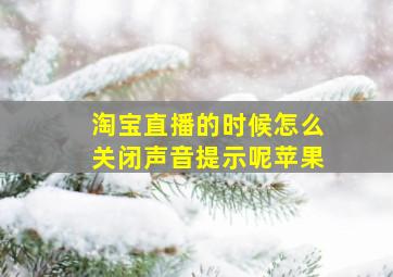 淘宝直播的时候怎么关闭声音提示呢苹果