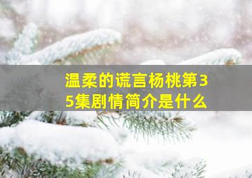 温柔的谎言杨桃第35集剧情简介是什么