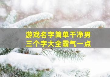 游戏名字简单干净男三个字大全霸气一点