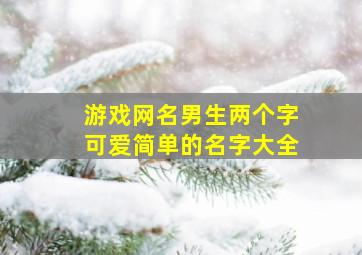 游戏网名男生两个字可爱简单的名字大全