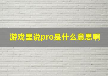 游戏里说pro是什么意思啊