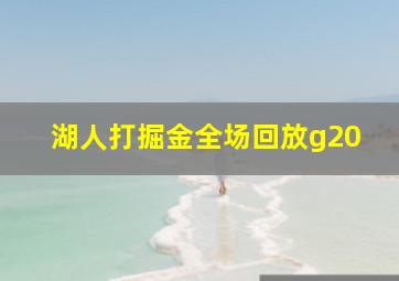 湖人打掘金全场回放g20