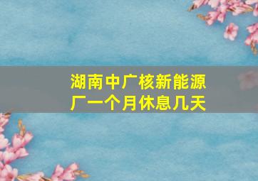 湖南中广核新能源厂一个月休息几天