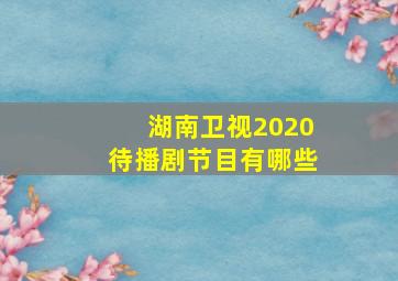 湖南卫视2020待播剧节目有哪些