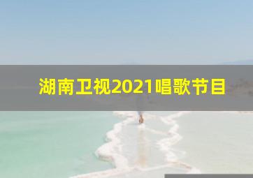 湖南卫视2021唱歌节目