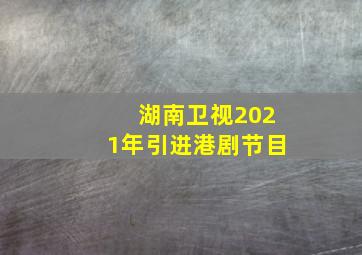 湖南卫视2021年引进港剧节目