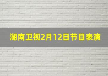 湖南卫视2月12日节目表演