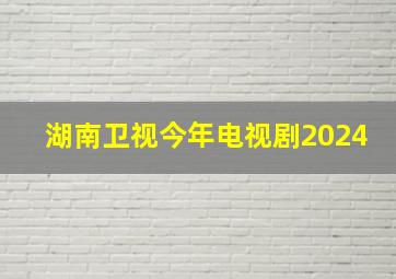 湖南卫视今年电视剧2024