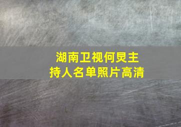 湖南卫视何炅主持人名单照片高清