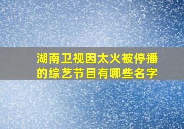 湖南卫视因太火被停播的综艺节目有哪些名字