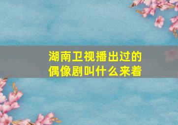 湖南卫视播出过的偶像剧叫什么来着