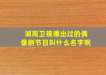 湖南卫视播出过的偶像剧节目叫什么名字啊