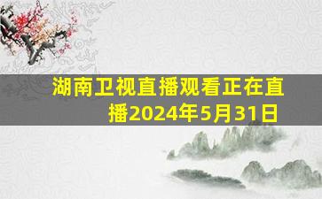 湖南卫视直播观看正在直播2024年5月31日