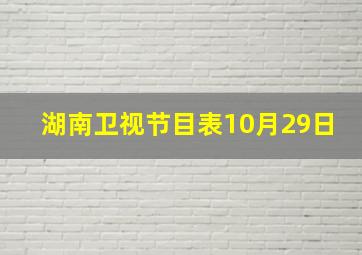 湖南卫视节目表10月29日