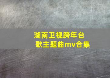 湖南卫视跨年台歌主题曲mv合集