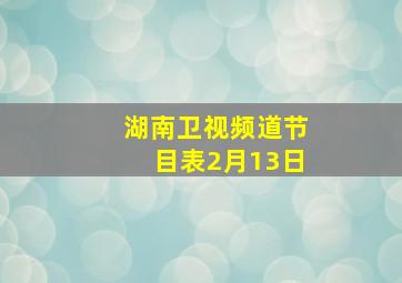 湖南卫视频道节目表2月13日