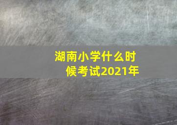 湖南小学什么时候考试2021年