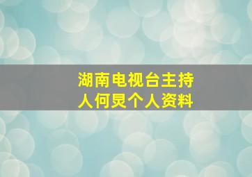 湖南电视台主持人何炅个人资料