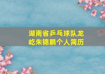 湖南省乒乓球队龙屹朱锦鹏个人简历