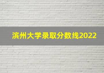 滨州大学录取分数线2022