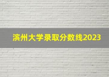 滨州大学录取分数线2023