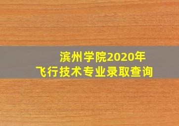 滨州学院2020年飞行技术专业录取查询