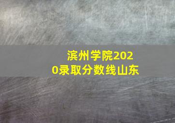 滨州学院2020录取分数线山东