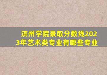 滨州学院录取分数线2023年艺术类专业有哪些专业