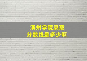 滨州学院录取分数线是多少啊