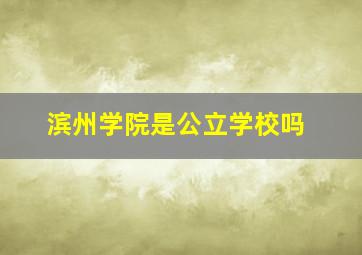 滨州学院是公立学校吗