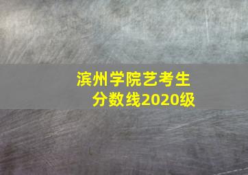 滨州学院艺考生分数线2020级